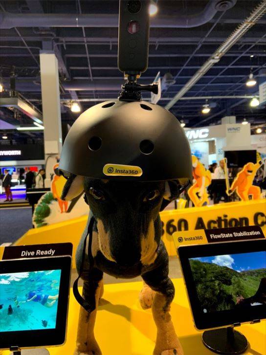 Dog 360 Camera CES